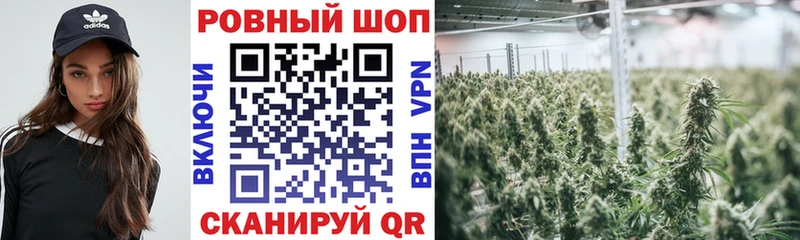 Гашиш Городовиковск