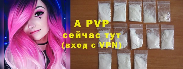 стафф Арсеньев