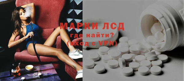 стафф Арсеньев