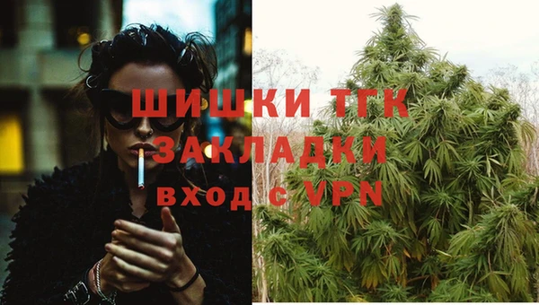стафф Арсеньев