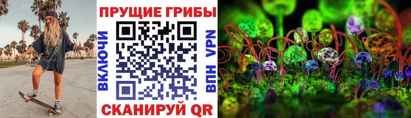 мега зеркало Городовиковск Галлюциногенные грибы Psilocybe даркнет сайт